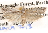  ( - BIOUG14426-G03)  @13 [ ] CreativeCommons - Attribution (2014) CBG Photography Group Centre for Biodiversity Genomics