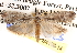  ( - BIOUG14426-G04)  @15 [ ] CreativeCommons - Attribution (2014) CBG Photography Group Centre for Biodiversity Genomics