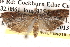  ( - BIOUG14608-A03)  @13 [ ] CreativeCommons - Attribution (2014) CBG Photography Group Centre for Biodiversity Genomics