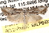  ( - BIOUG14608-A04)  @12 [ ] CreativeCommons - Attribution (2014) CBG Photography Group Centre for Biodiversity Genomics