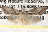  ( - BIOUG14608-B01)  @12 [ ] CreativeCommons - Attribution (2014) CBG Photography Group Centre for Biodiversity Genomics