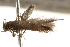  ( - BIOUG14608-D06)  @12 [ ] CreativeCommons - Attribution (2014) CBG Photography Group Centre for Biodiversity Genomics