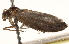 ( - BIOUG14608-G04)  @12 [ ] CreativeCommons - Attribution (2014) CBG Photography Group Centre for Biodiversity Genomics
