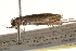  ( - BIOUG14608-G05)  @12 [ ] CreativeCommons - Attribution (2014) CBG Photography Group Centre for Biodiversity Genomics