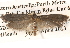 ( - BIOUG14609-A05)  @13 [ ] CreativeCommons - Attribution (2014) CBG Photography Group Centre for Biodiversity Genomics