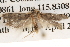  ( - BIOUG14609-C01)  @12 [ ] CreativeCommons - Attribution (2014) CBG Photography Group Centre for Biodiversity Genomics