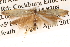  ( - BIOUG14609-D08)  @12 [ ] CreativeCommons - Attribution (2014) CBG Photography Group Centre for Biodiversity Genomics