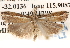  ( - BIOUG14609-E01)  @11 [ ] CreativeCommons - Attribution (2014) CBG Photography Group Centre for Biodiversity Genomics