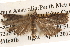  ( - BIOUG14609-F01)  @13 [ ] CreativeCommons - Attribution (2014) CBG Photography Group Centre for Biodiversity Genomics