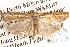 ( - BIOUG14609-F03)  @14 [ ] CreativeCommons - Attribution (2014) CBG Photography Group Centre for Biodiversity Genomics