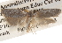  ( - BIOUG14610-B08)  @12 [ ] CreativeCommons - Attribution (2014) CBG Photography Group Centre for Biodiversity Genomics