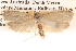  ( - BIOUG14610-D11)  @12 [ ] CreativeCommons - Attribution (2014) CBG Photography Group Centre for Biodiversity Genomics