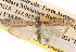  ( - BIOUG14610-F04)  @13 [ ] CreativeCommons - Attribution (2014) CBG Photography Group Centre for Biodiversity Genomics