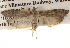  ( - BIOUG14610-F07)  @14 [ ] CreativeCommons - Attribution (2014) CBG Photography Group Centre for Biodiversity Genomics