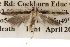  ( - BIOUG14610-G05)  @13 [ ] CreativeCommons - Attribution (2014) CBG Photography Group Centre for Biodiversity Genomics