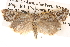  ( - BIOUG14610-G11)  @14 [ ] CreativeCommons - Attribution (2014) CBG Photography Group Centre for Biodiversity Genomics