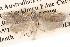  ( - BIOUG14610-H01)  @12 [ ] CreativeCommons - Attribution (2014) CBG Photography Group Centre for Biodiversity Genomics