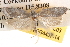  ( - BIOUG14611-C03)  @12 [ ] CreativeCommons - Attribution (2014) CBG Photography Group Centre for Biodiversity Genomics