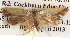  ( - BIOUG14611-C06)  @12 [ ] CreativeCommons - Attribution (2014) CBG Photography Group Centre for Biodiversity Genomics