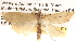  ( - BIOUG14611-E01)  @13 [ ] CreativeCommons - Attribution (2014) CBG Photography Group Centre for Biodiversity Genomics