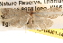  ( - BIOUG14611-E03)  @12 [ ] CreativeCommons - Attribution (2014) CBG Photography Group Centre for Biodiversity Genomics
