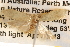  ( - BIOUG14611-E04)  @12 [ ] CreativeCommons - Attribution (2014) CBG Photography Group Centre for Biodiversity Genomics