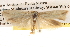  ( - BIOUG14611-F09)  @13 [ ] CreativeCommons - Attribution (2014) CBG Photography Group Centre for Biodiversity Genomics