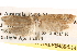  ( - BIOUG14611-H10)  @12 [ ] CreativeCommons - Attribution (2014) CBG Photography Group Centre for Biodiversity Genomics