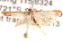  ( - BIOUG14612-A11)  @13 [ ] CreativeCommons - Attribution (2014) CBG Photography Group Centre for Biodiversity Genomics