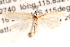  ( - BIOUG14612-B04)  @12 [ ] CreativeCommons - Attribution (2014) CBG Photography Group Centre for Biodiversity Genomics