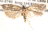  ( - BIOUG14612-C11)  @13 [ ] CreativeCommons - Attribution (2014) CBG Photography Group Centre for Biodiversity Genomics