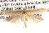  ( - BIOUG14612-E10)  @13 [ ] CreativeCommons - Attribution (2014) CBG Photography Group Centre for Biodiversity Genomics