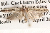  ( - BIOUG14612-F03)  @13 [ ] CreativeCommons - Attribution (2014) CBG Photography Group Centre for Biodiversity Genomics