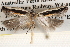  ( - BIOUG14613-E07)  @13 [ ] CreativeCommons - Attribution (2014) CBG Photography Group Centre for Biodiversity Genomics