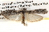  ( - BIOUG14613-F11)  @13 [ ] CreativeCommons - Attribution (2014) CBG Photography Group Centre for Biodiversity Genomics