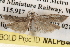  ( - BIOUG14613-G03)  @12 [ ] CreativeCommons - Attribution (2014) CBG Photography Group Centre for Biodiversity Genomics