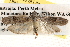  ( - BIOUG14613-G08)  @14 [ ] CreativeCommons - Attribution (2014) CBG Photography Group Centre for Biodiversity Genomics