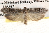  ( - BIOUG14613-G09)  @14 [ ] CreativeCommons - Attribution (2014) CBG Photography Group Centre for Biodiversity Genomics