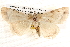  ( - BIOUG14613-H06)  @13 [ ] CreativeCommons - Attribution (2014) CBG Photography Group Centre for Biodiversity Genomics