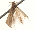  ( - BIOUG14614-C02)  @12 [ ] CreativeCommons - Attribution (2014) CBG Photography Group Centre for Biodiversity Genomics