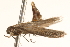  ( - BIOUG16501-G07)  @12 [ ] CreativeCommons - Attribution (2014) CBG Photography Group Centre for Biodiversity Genomics