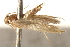  ( - BIOUG16501-H01)  @12 [ ] CreativeCommons - Attribution (2014) CBG Photography Group Centre for Biodiversity Genomics