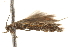  ( - BIOUG16502-F05)  @12 [ ] CreativeCommons - Attribution (2014) CBG Photography Group Centre for Biodiversity Genomics