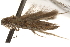  ( - BIOUG16503-A04)  @12 [ ] CreativeCommons - Attribution (2014) CBG Photography Group Centre for Biodiversity Genomics