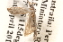  ( - BIOUG16503-C01)  @12 [ ] CreativeCommons - Attribution (2014) CBG Photography Group Centre for Biodiversity Genomics