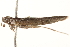  ( - BIOUG16503-E12)  @12 [ ] CreativeCommons - Attribution (2014) CBG Photography Group Centre for Biodiversity Genomics