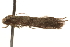  ( - BIOUG16503-H01)  @12 [ ] CreativeCommons - Attribution (2014) CBG Photography Group Centre for Biodiversity Genomics