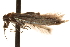  ( - BIOUG16504-B07)  @12 [ ] CreativeCommons - Attribution (2014) CBG Photography Group Centre for Biodiversity Genomics
