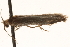 ( - BIOUG16504-D04)  @12 [ ] CreativeCommons - Attribution (2014) CBG Photography Group Centre for Biodiversity Genomics
