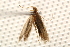  ( - BIOUG16504-E08)  @12 [ ] CreativeCommons - Attribution (2014) CBG Photography Group Centre for Biodiversity Genomics